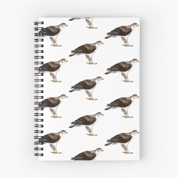 Item preview, Bonelli's Eagle designed and sold by Haliaeetus.