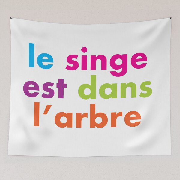 Item preview, LE SINGE EST DANS L'ARBRE - 1980s 'O' Level French Lessons designed and sold by Clifford Hayes.