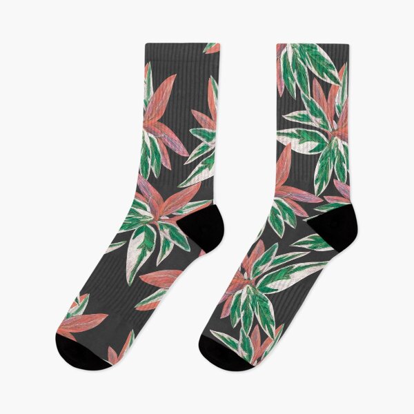 Item preview, Calathea Triostar Stromanthe Plant With Dark Grey Background - Green, Rust, Blush, Magenta designed and sold by Marina Oliveira Studio.