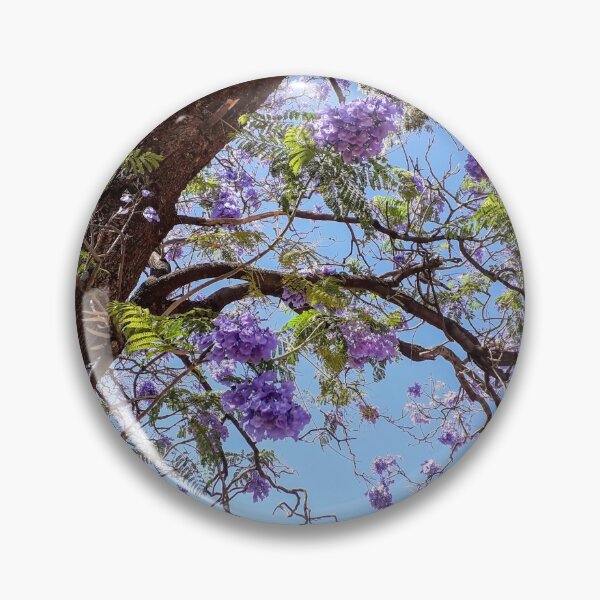 Item preview, Blue Jacaranda tree blossom South Australia designed and sold by Tanja Dianova.