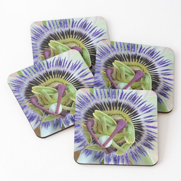 Item preview, Exotic Floral Passion Flower Photograph designed and sold by Paulele.