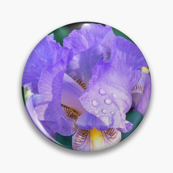 Artikelvorschau, Lila Iris mit Regentropfen entworfen und verkauft von Ollivrosa.