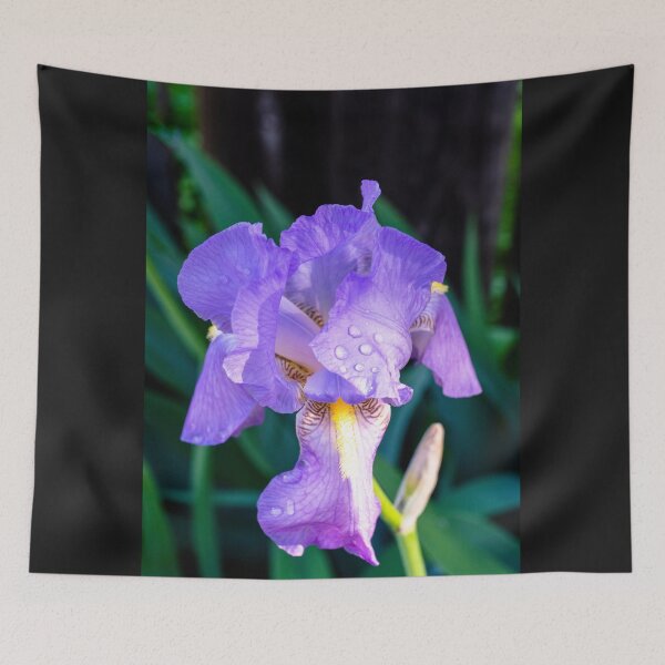 Item preview, Purple Iris with Raindrops  designed and sold by Ollivrosa.