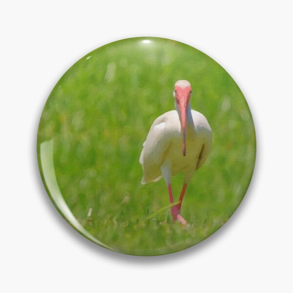 Item preview, Backyard Birding designed and sold by Jill Nightingale.