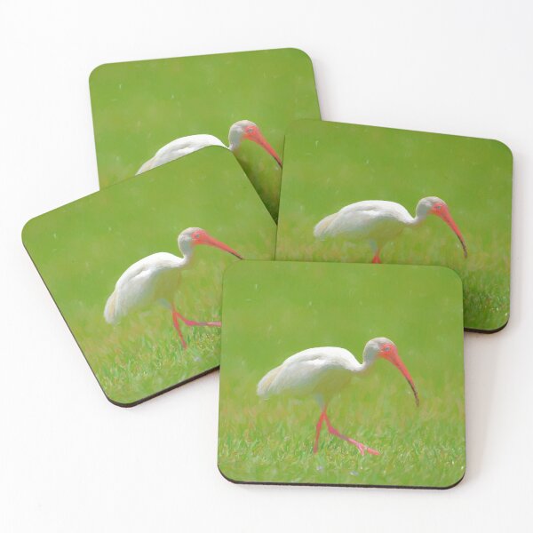 Item preview, Florida Birding designed and sold by Jill Nightingale.