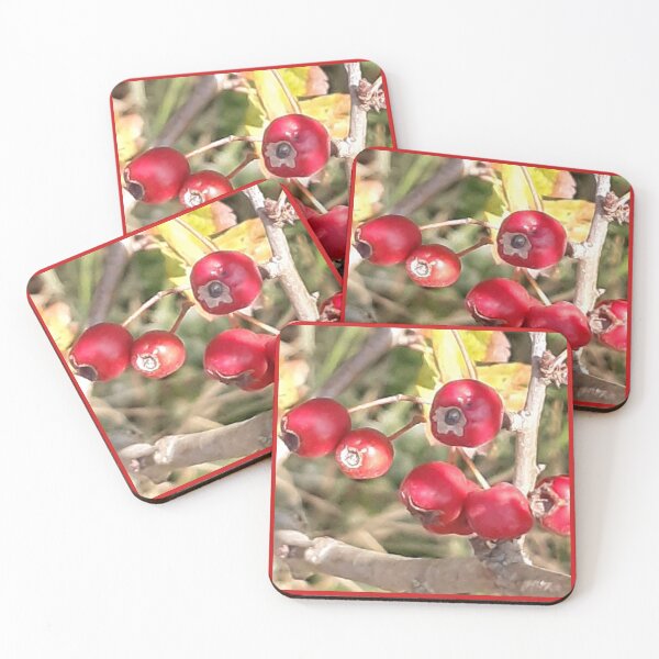 Item preview, Red berries taken on the Southdowns in Sussex designed and sold by Emma  Amies.
