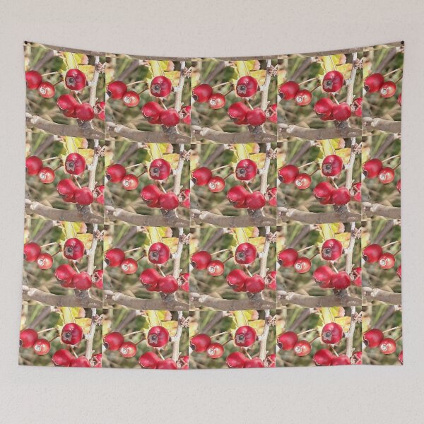 Item preview, Red berries taken on the Southdowns in Sussex designed and sold by Emma  Amies.