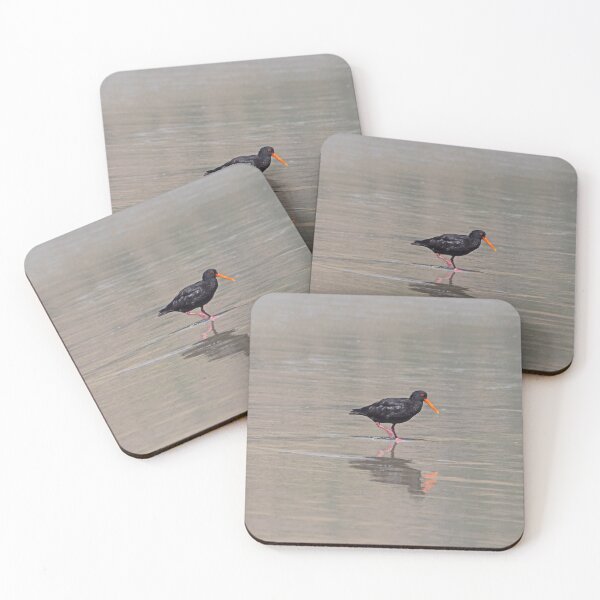 Item preview, Oyster catcher on Allan's beach, New Zealand designed and sold by HazelWright.