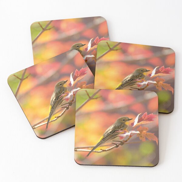 Item preview, Autumn Yellow Rumped Warbler designed and sold by K D Graves Photography.