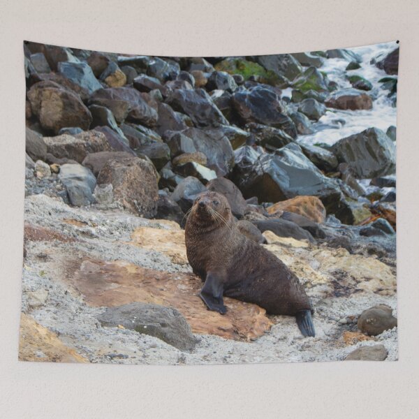Item preview, New Zealand Fur Seal, New Zealand designed and sold by HazelWright.