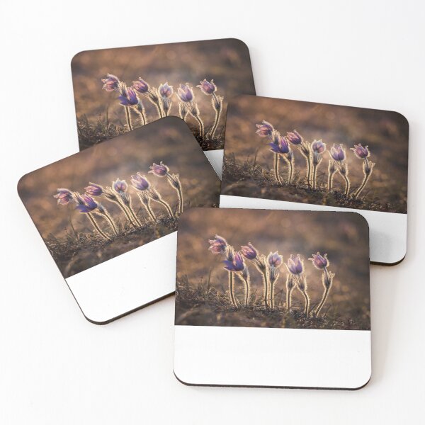 Item preview, purple flowers photo designed and sold by Braxton Tanaka.