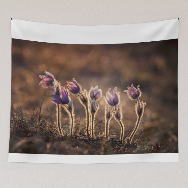 Item preview, purple flowers photo designed and sold by Braxton Tanaka.