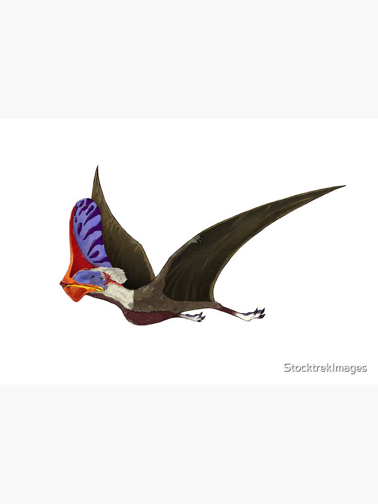 "Tapejara, a genus of Brazilian pterosaur from the Cretaceous Period." Sticker for Sale by