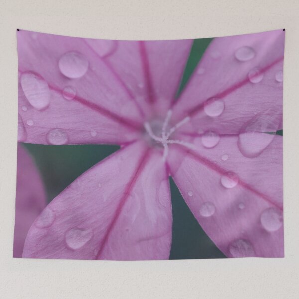 Item preview, Bloom Pink Flower Floral Raindrops Wet Montserrat Caribbean designed and sold by Forestia.