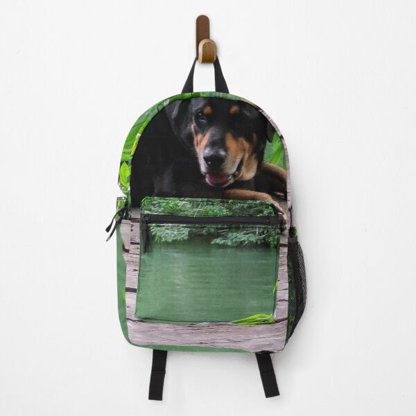 Item preview, Finca Tatin Lodge Dog, Resting! designed and sold by heatherfriedman.
