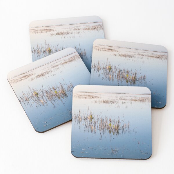 Shallow waters and no wind on a quiet day Coasters (Set of 4)