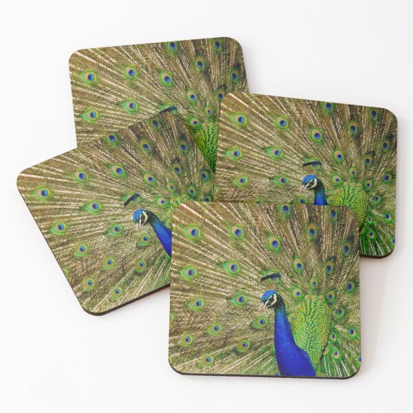 Item preview, Close-Up Of Peacock With Fanned Out Feathers designed and sold by Fergal Gleeson.