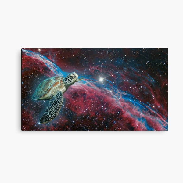 el sueño de la tortuga espacial Lienzo