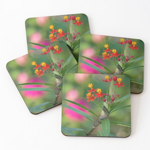 Item preview, Monarch Caterpillar on Milkweed  designed and sold by K D Graves Photography.