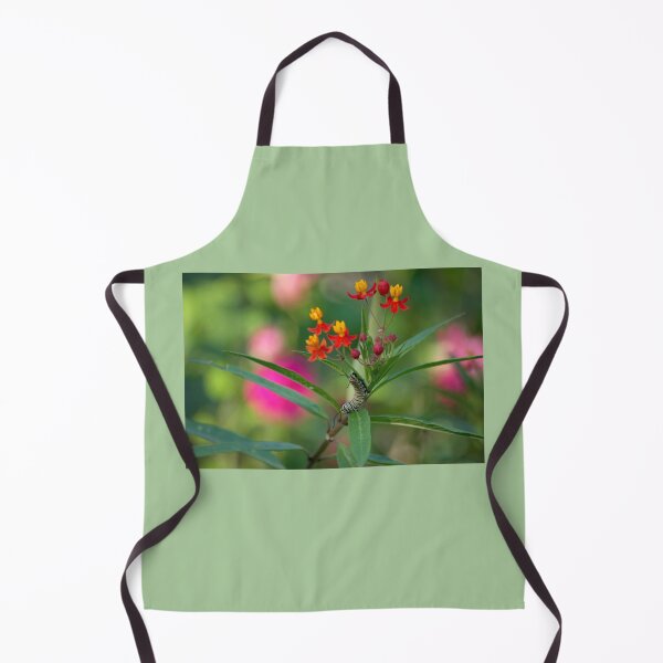Item preview, Monarch Caterpillar on Milkweed designed and sold by K D Graves Photography.