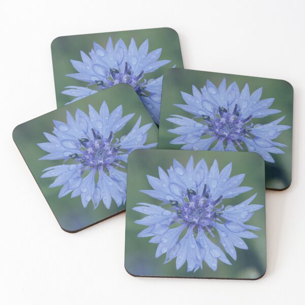 Item preview, Cornflower blossom cornflower blue raindrop wet flower blue designed and sold by Forestia.