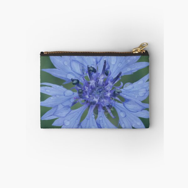 Item preview, Cornflower blossom cornflower blue raindrop wet flower blue designed and sold by Forestia.