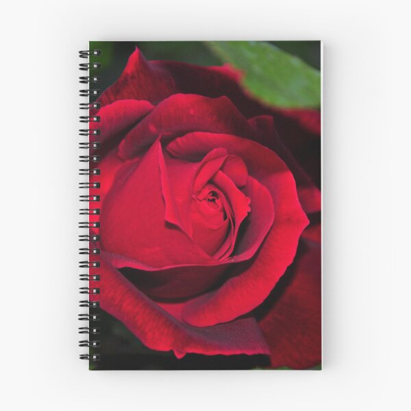 Aperçu de l'œuvre Rose de la Passion créée et vendue par Bagius.