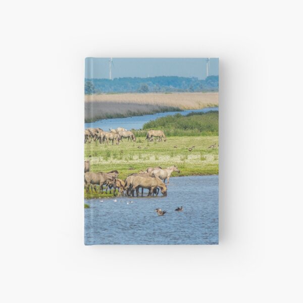 Wild horses roaming free in Oostvaardersplassen Hardcover Journal