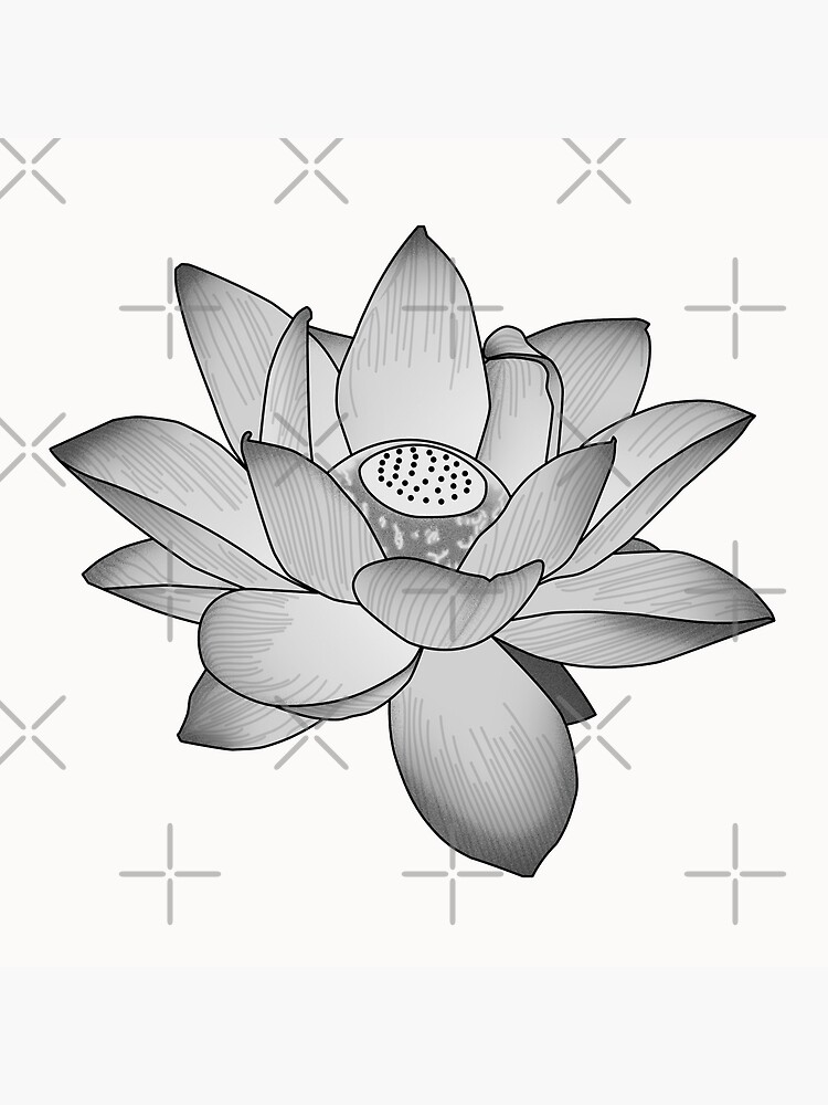 japanese lotus tattoo drawing