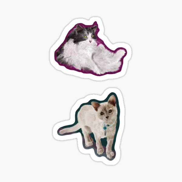 Realistic Cat Sticker Pack Sticker