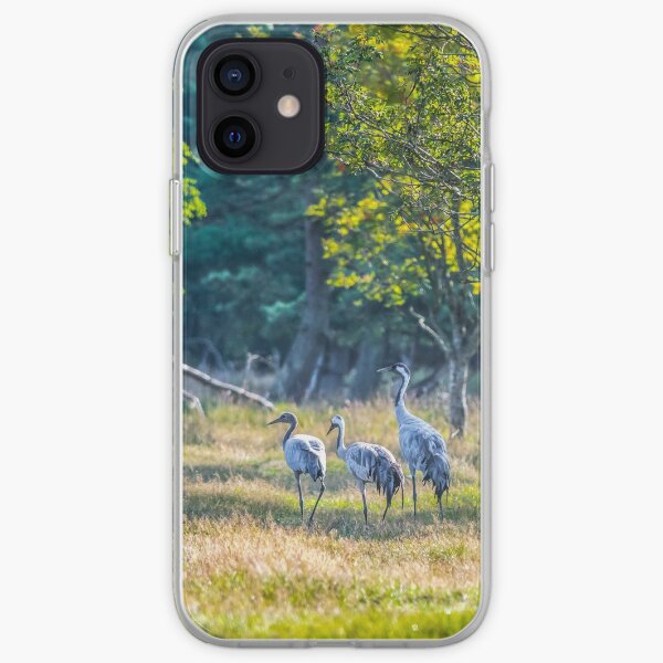 A family of cranes taking a morning stroll iPhone Soft Case