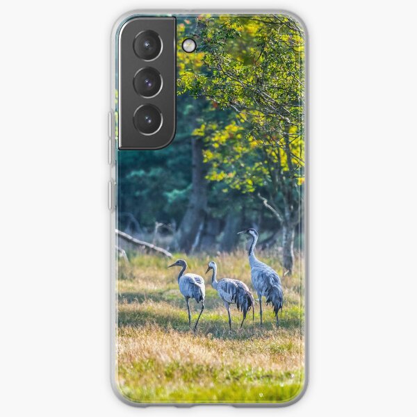 A family of cranes taking a morning stroll Samsung Galaxy Soft Case