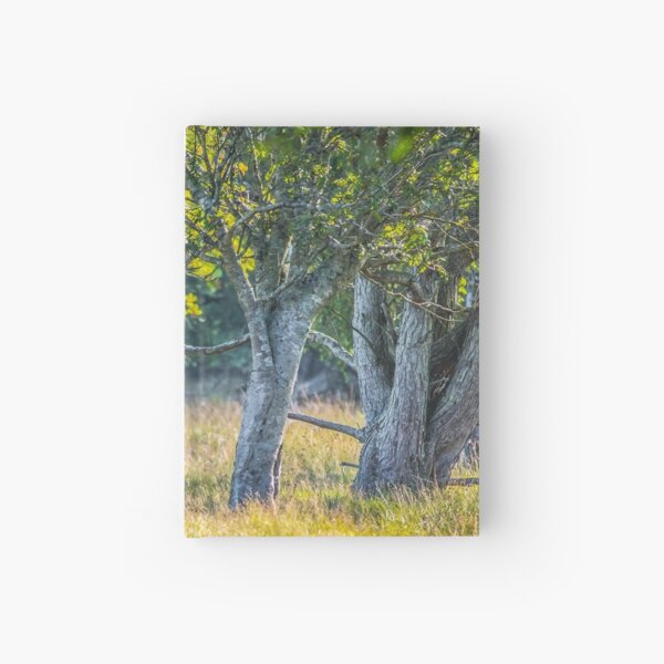 A family of cranes taking a morning stroll Hardcover Journal