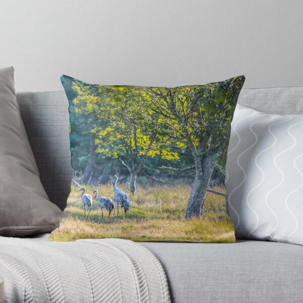 A family of cranes taking a morning stroll Throw Pillow