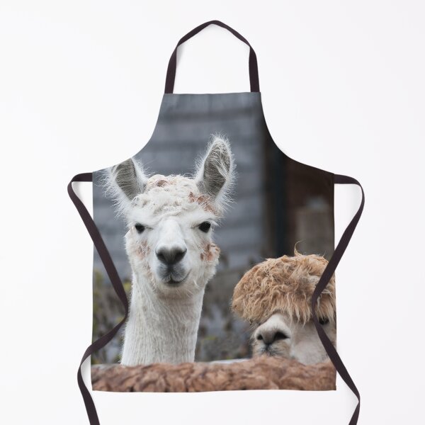 Item preview, Curious alpacas cute animals designed and sold by LindaCooke.
