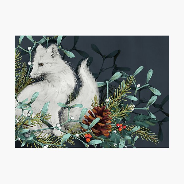 Arctic Fox Holiday Portrait Photographic Print