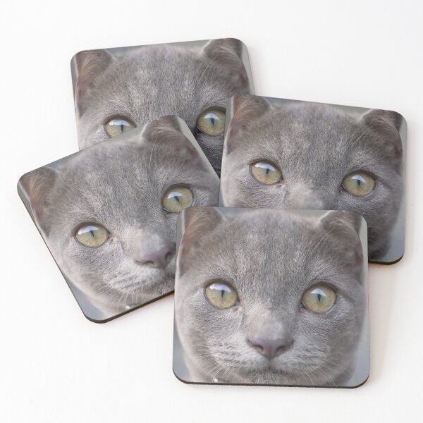 Item preview, Grey Cat EYES. designed and sold by Sanny88.