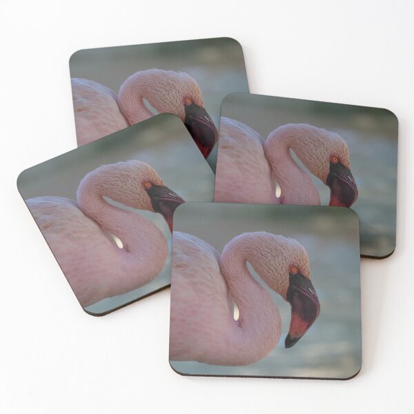 Item preview, Greater flamingo portrait designed and sold by pietrofoto.
