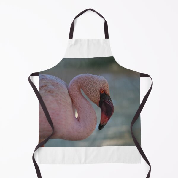 Item preview, Greater flamingo portrait designed and sold by pietrofoto.