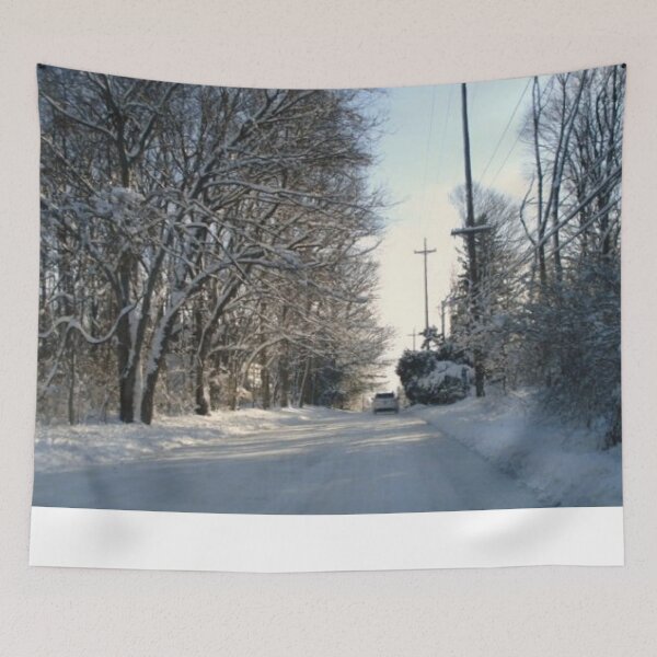 Item preview,  SNOW COVERED ROAD DURING WINTER SEASON ALL WHITE designed and sold by findsbyjune374.