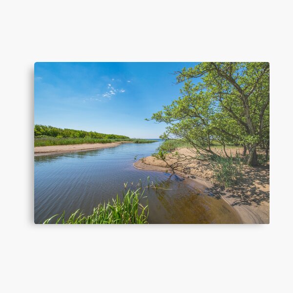 River running to the ocean Metal Print