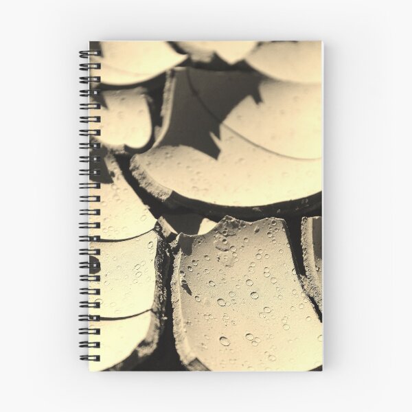 Item preview, Drought designed and sold by JoAnn Glennie.