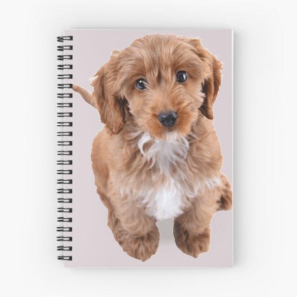 Item preview, Cockapoo designed and sold by thecavapootales.