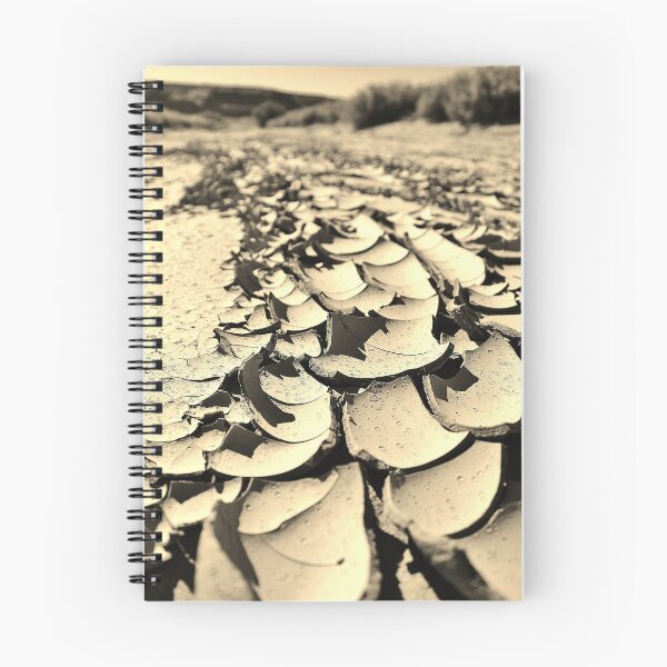 Item preview, Drought  designed and sold by JoAnn Glennie.