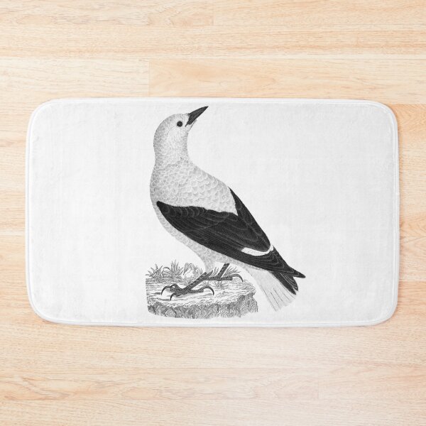 Item preview, Drawing of Clark's Nutcracker by Alexander Wilson designed and sold by Amanda1775.