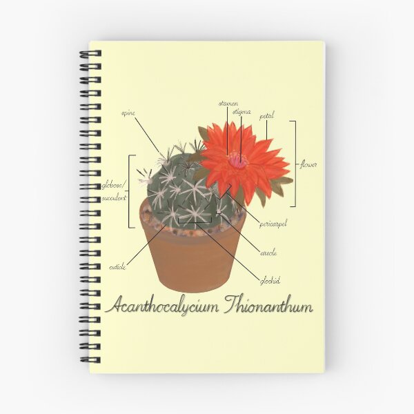 Item preview, Acanthocalycium Thionanthum designed and sold by beanygeek.