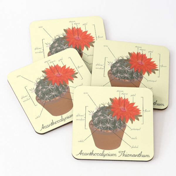 Item preview, Acanthocalycium Thionanthum designed and sold by beanygeek.