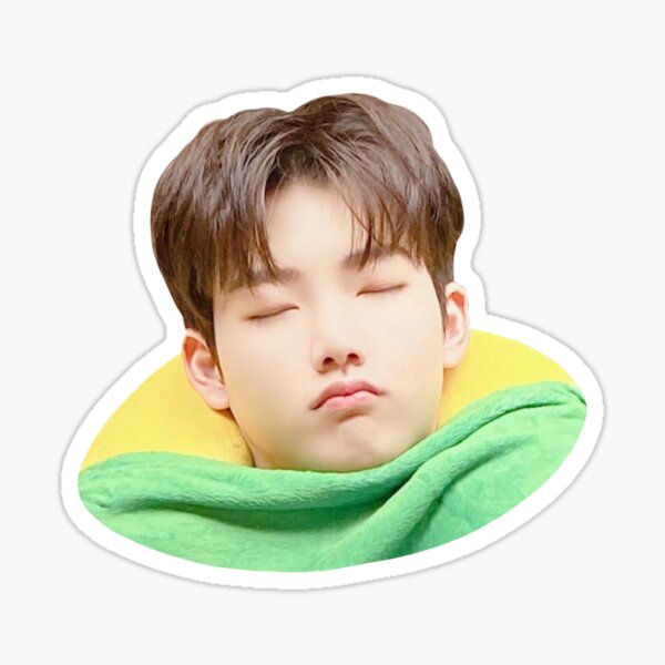Cute Sleeping Junkyu Yg Treasure Sticker