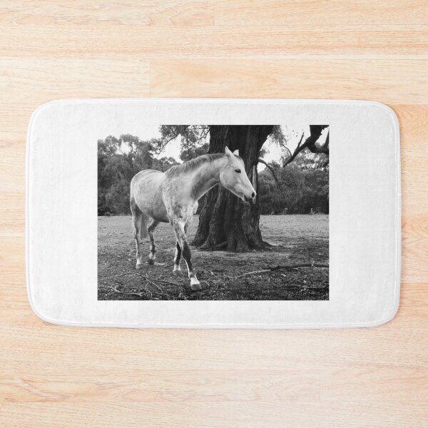 Item preview, Caballo blanco designed and sold by Roz McQuillan Fine Art & Photography.