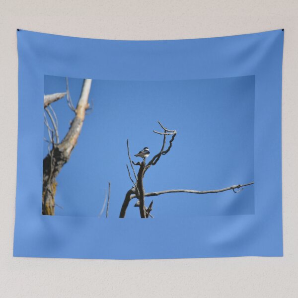 Item preview, Tree Swallow in a Blue Sky designed and sold by regalviolet.